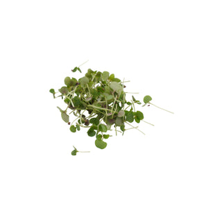 Semi di Perilla bicolor bio - 2g