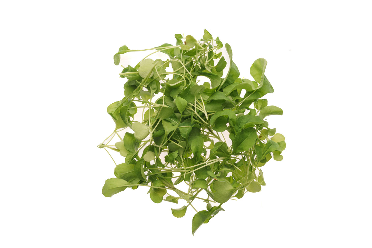 Rucola coltivata - Seme Bio 40gr