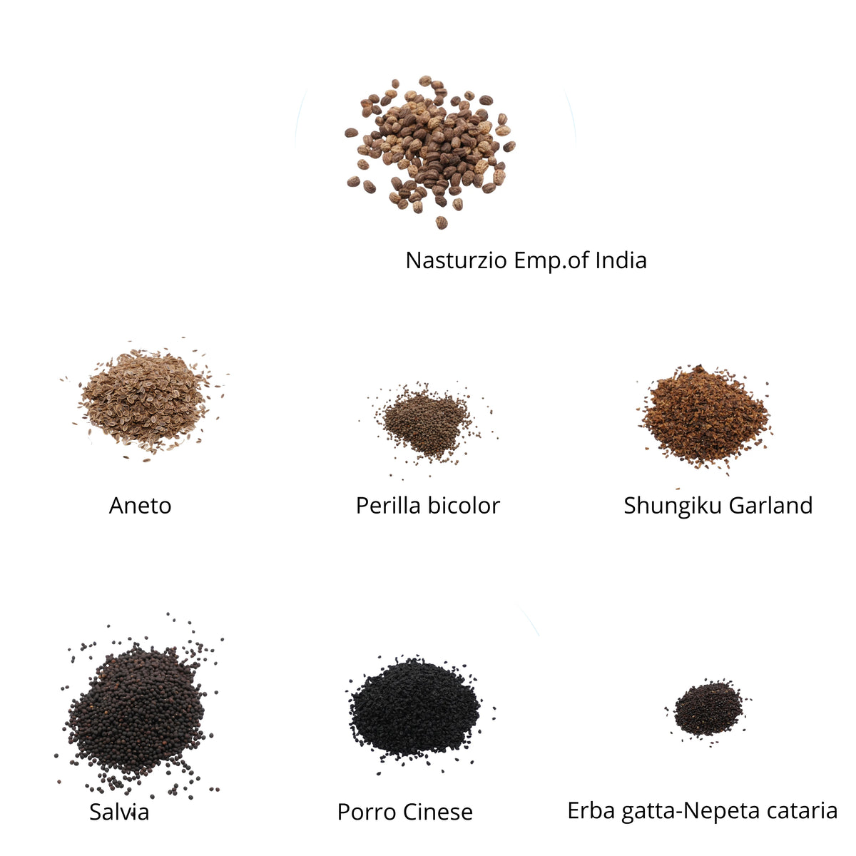 Set semi per erbe aromatiche bio - 14 varietà - ss402