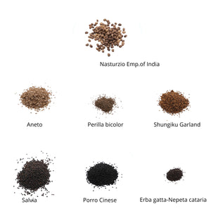 Set semi per erbe aromatiche bio - 14 varietà - ss402
