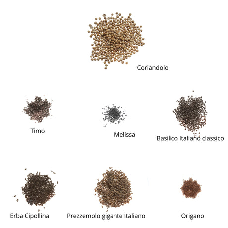 Set semi per erbe aromatiche bio - 14 varietà - ss402