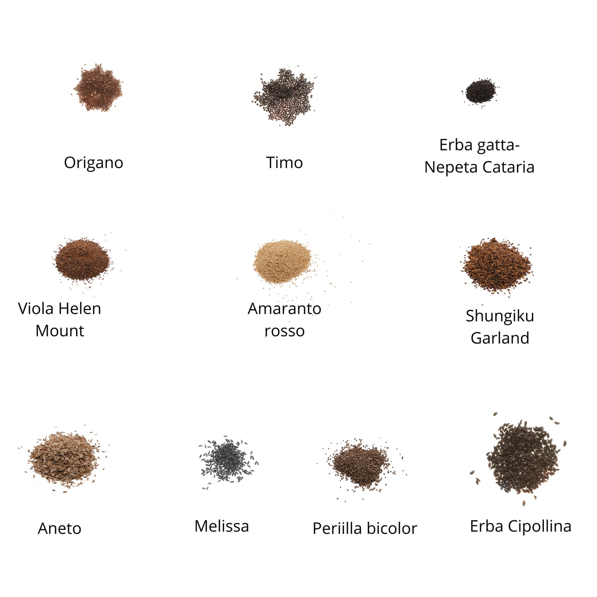 Set semi per microgreens bio - Cocco - 20 varietà - ss203