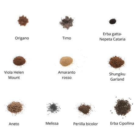 Set semi per microgreens bio - Cocco - 20 varietà - ss203