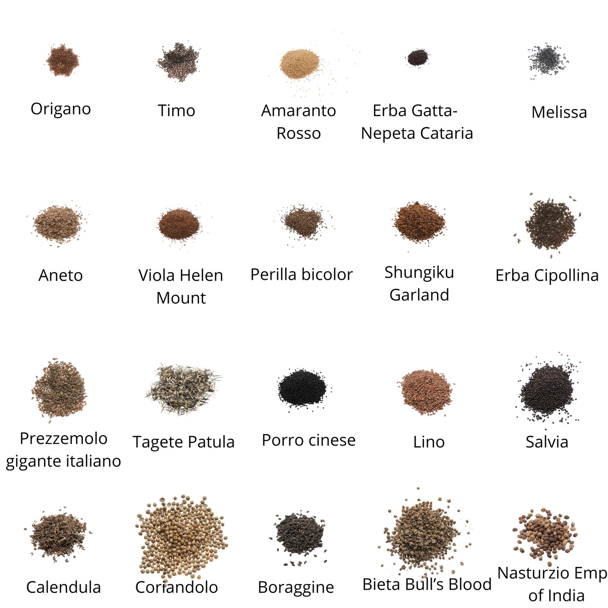 Set semi per microgreens bio - Cocco - 20 varietà - ss203
