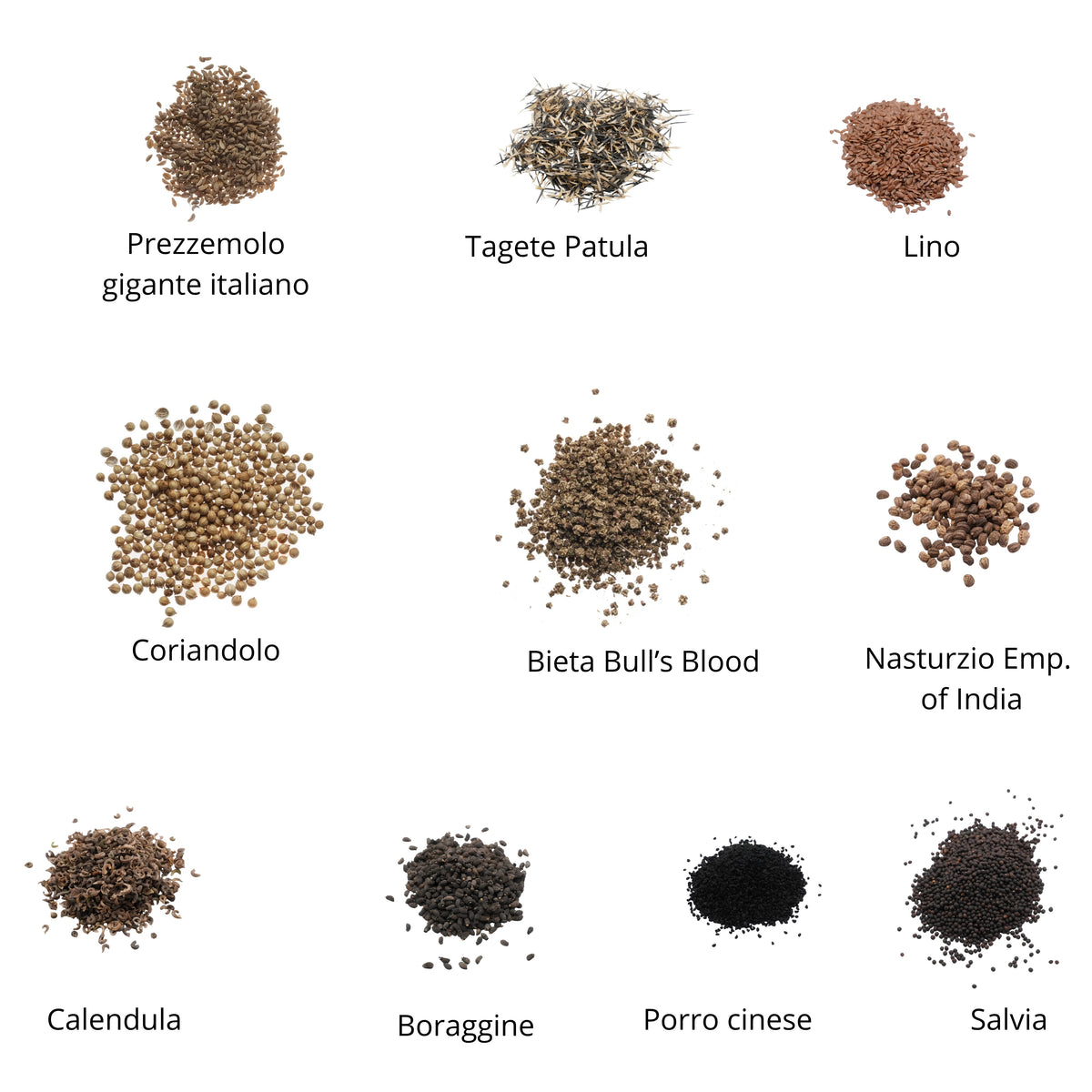 Set semi per microgreens bio - Cocco - 20 varietà - ss203