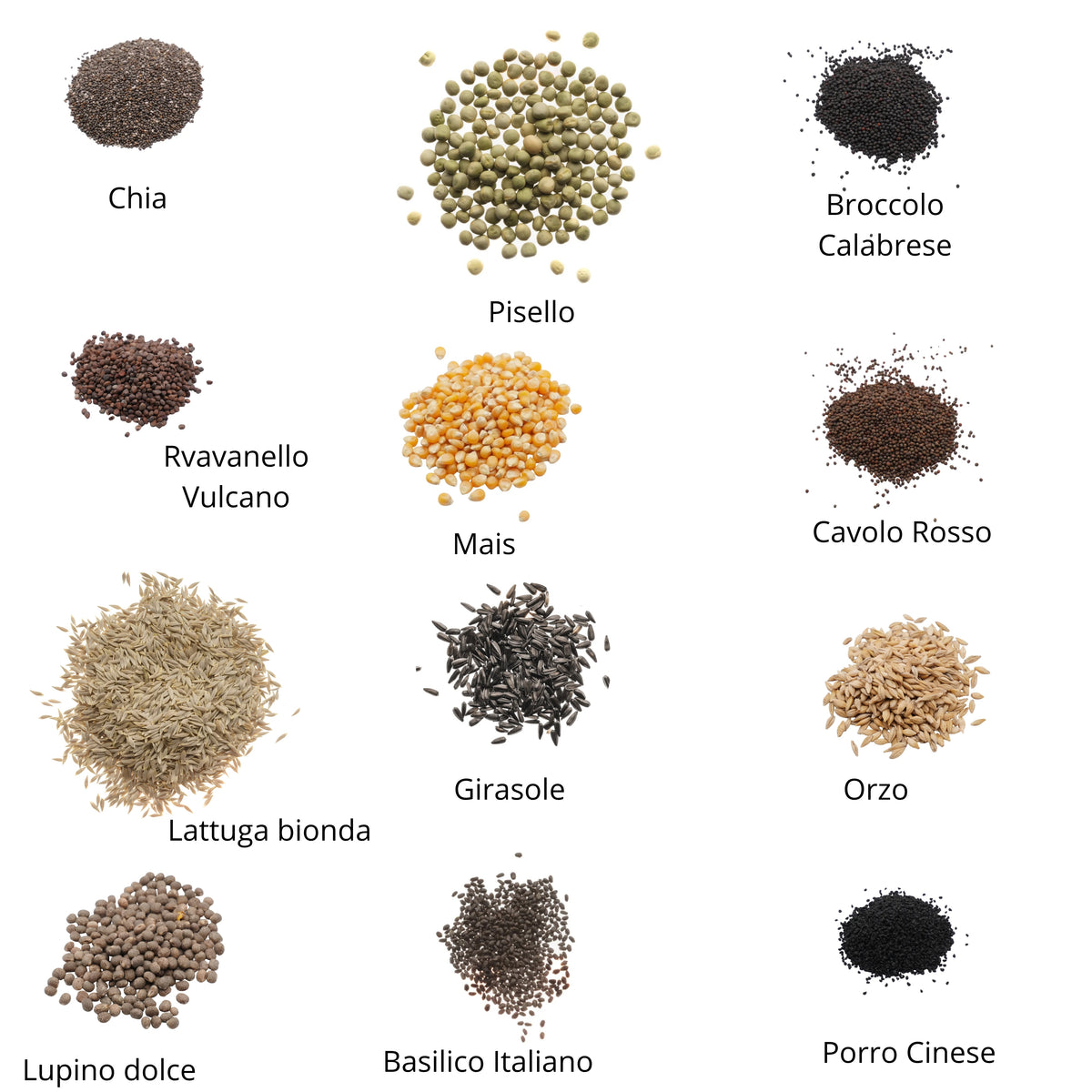 Set semi per microgreens bio - Idroponica o Cocco - 25 varietà - ss202