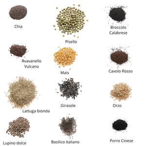 Set semi per microgreens bio - Idroponica o Cocco - 25 varietà - ss202