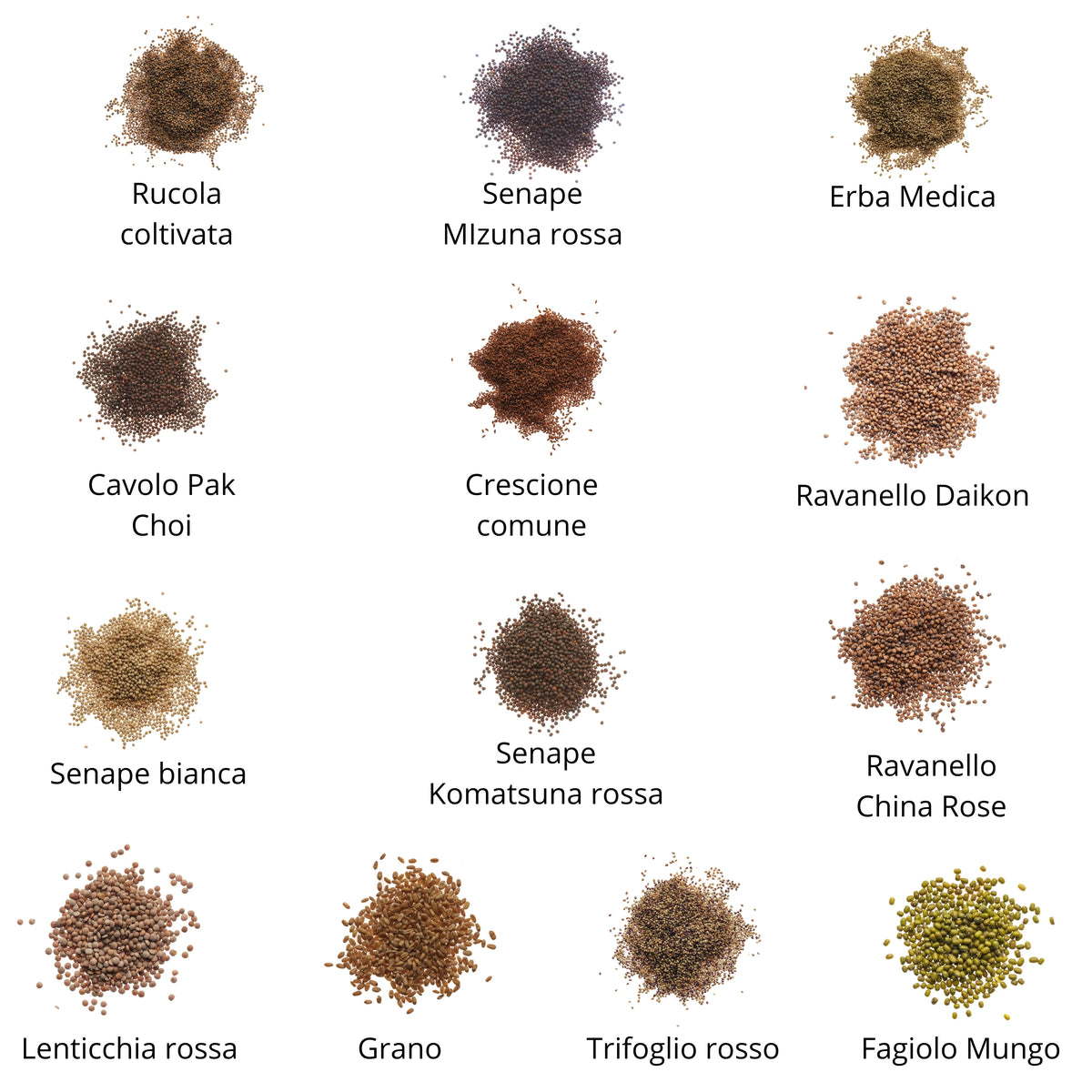 Set semi per microgreens bio - Idroponica o Cocco - 25 varietà - ss202