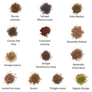 Set semi per microgreens bio - Idroponica o Cocco - 25 varietà - ss202