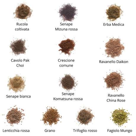 Set semi per microgreens bio - Idroponica o Cocco - 25 varietà - ss202