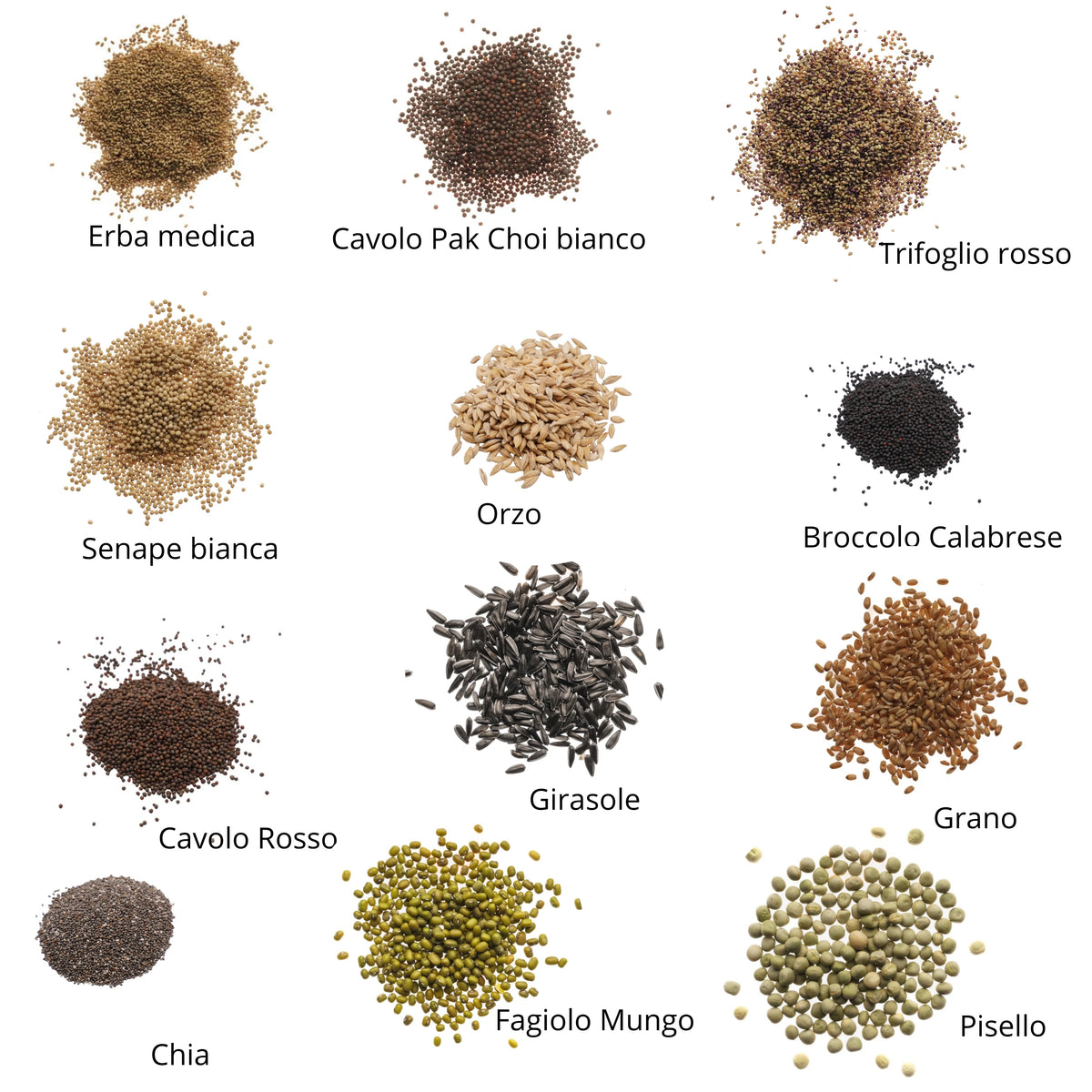 Set semi microgreens bio per cani - 12 varietà - ss901