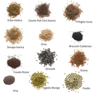 Set semi microgreens bio per cani - 12 varietà - ss901