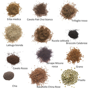 Set semi microgreens bio per rettili - 12 varietà - ss905
