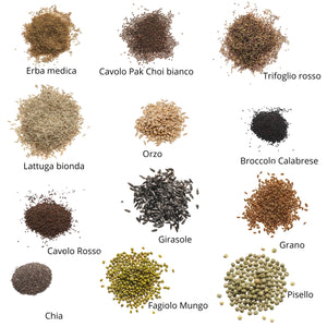 Set semi microgreens bio per uccelli - 12 varietà - ss904