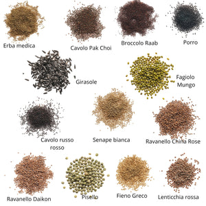 Set semi per germogli e microgreens bio - 13 varietà - ss103