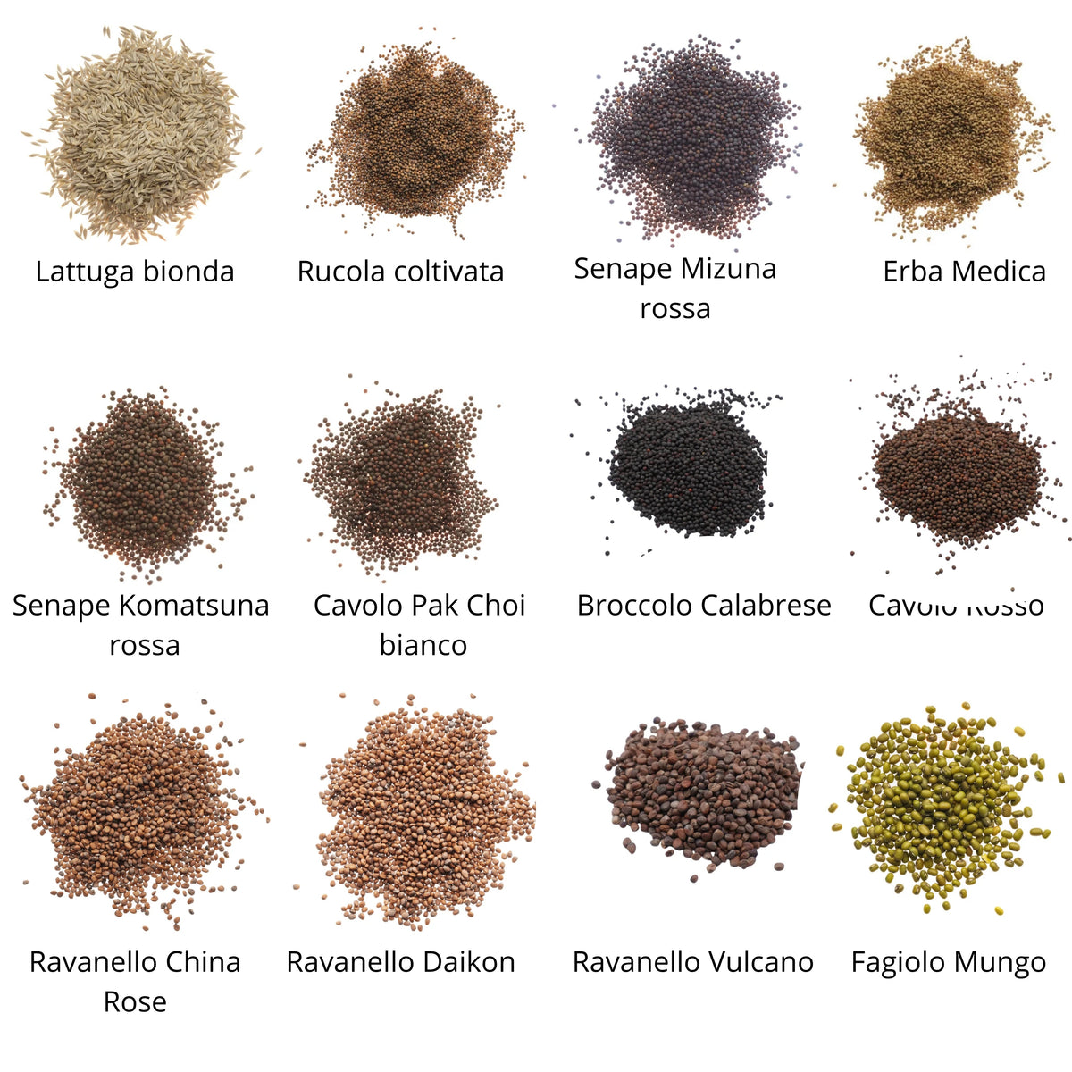 Set semi per microgreens bio - Idroponica o Cocco - 12 varietà - ss201