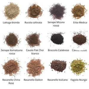 Set semi per microgreens bio - Idroponica o Cocco - 12 varietà - ss201