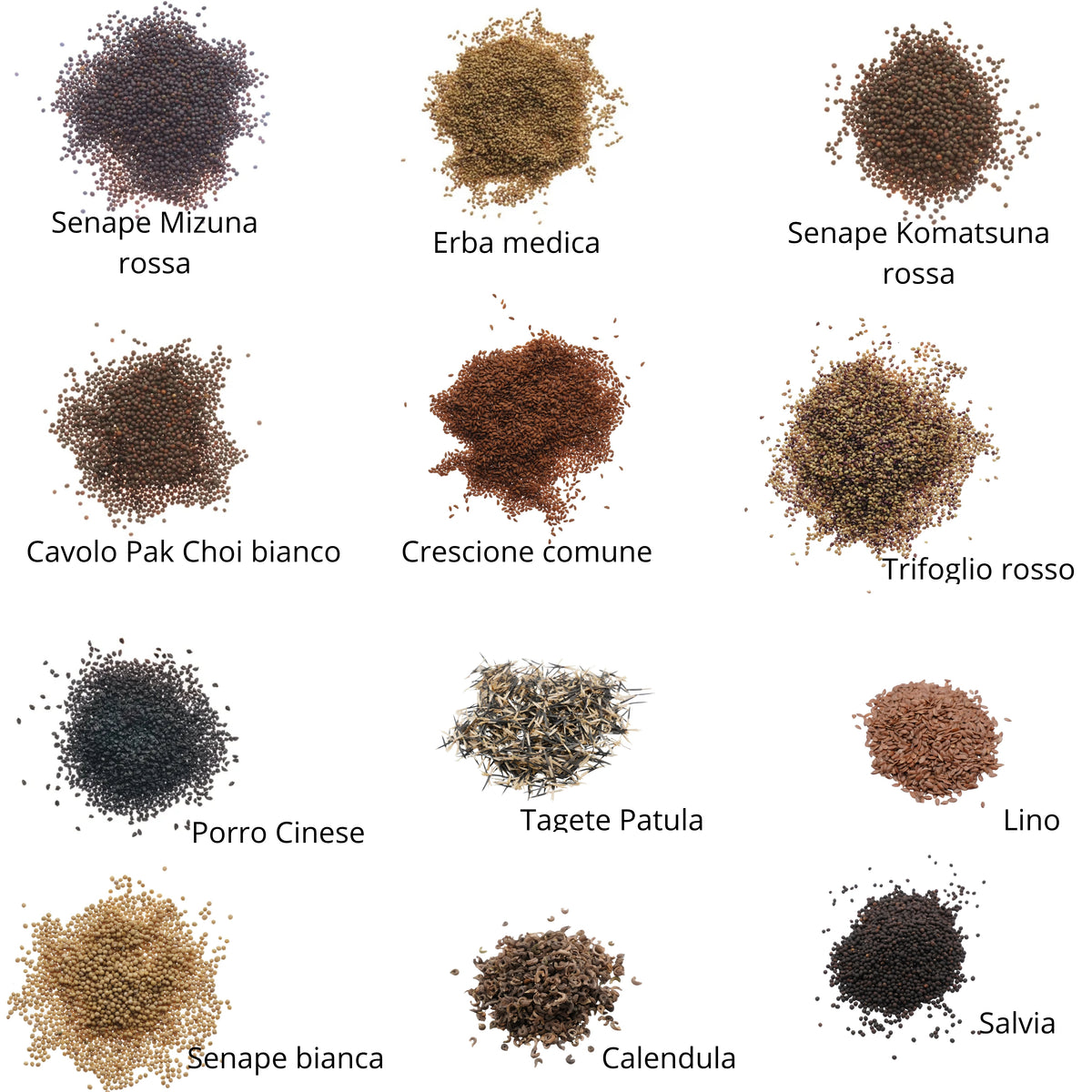 Set semi per microgreens bio - 45 varietà - ss204