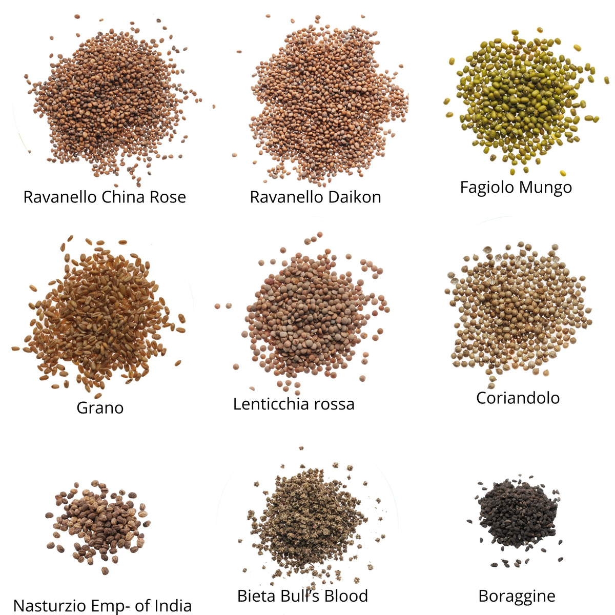 Set semi per microgreens bio - 45 varietà - ss204
