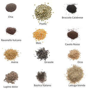 Set semi per microgreens bio - 45 varietà - ss204