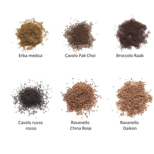 Set semi per germogli e microgreens - 6 varietà - ss101