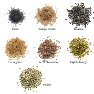 Set semi per germogli e microgreens bio - 7 varietà - ss102