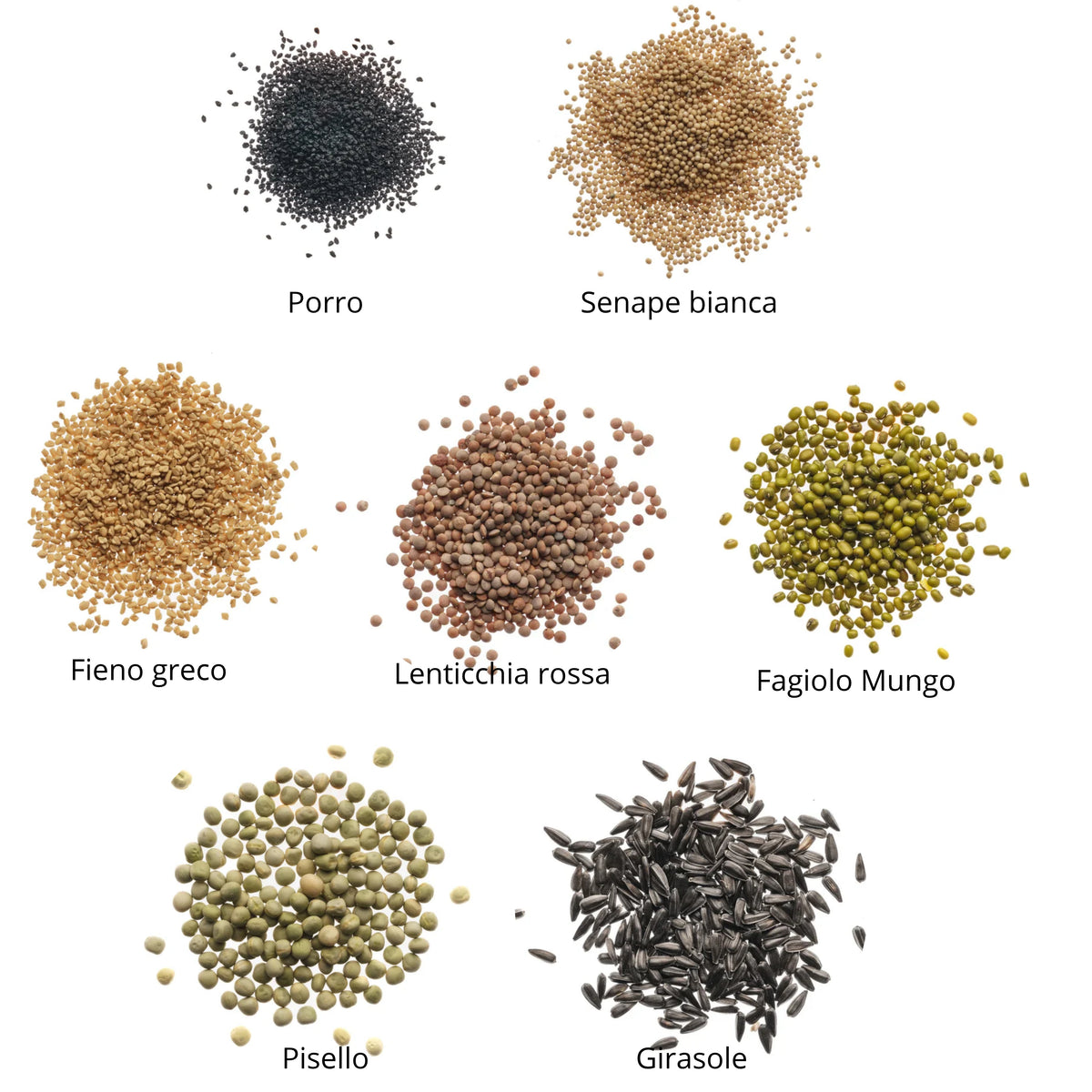 Set semi per germogli e microgreens bio - 7 varietà - ss102