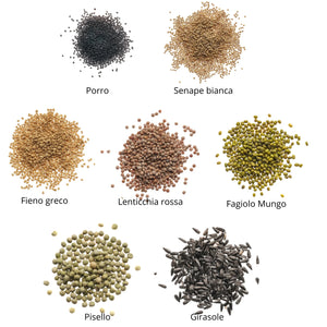 Set semi per germogli e microgreens bio - 7 varietà - ss102