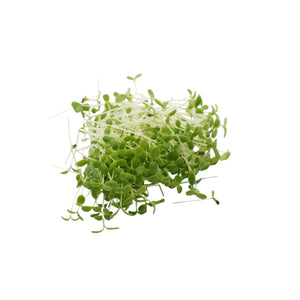 Semi di Shungiku Garland bio - 1,6 g