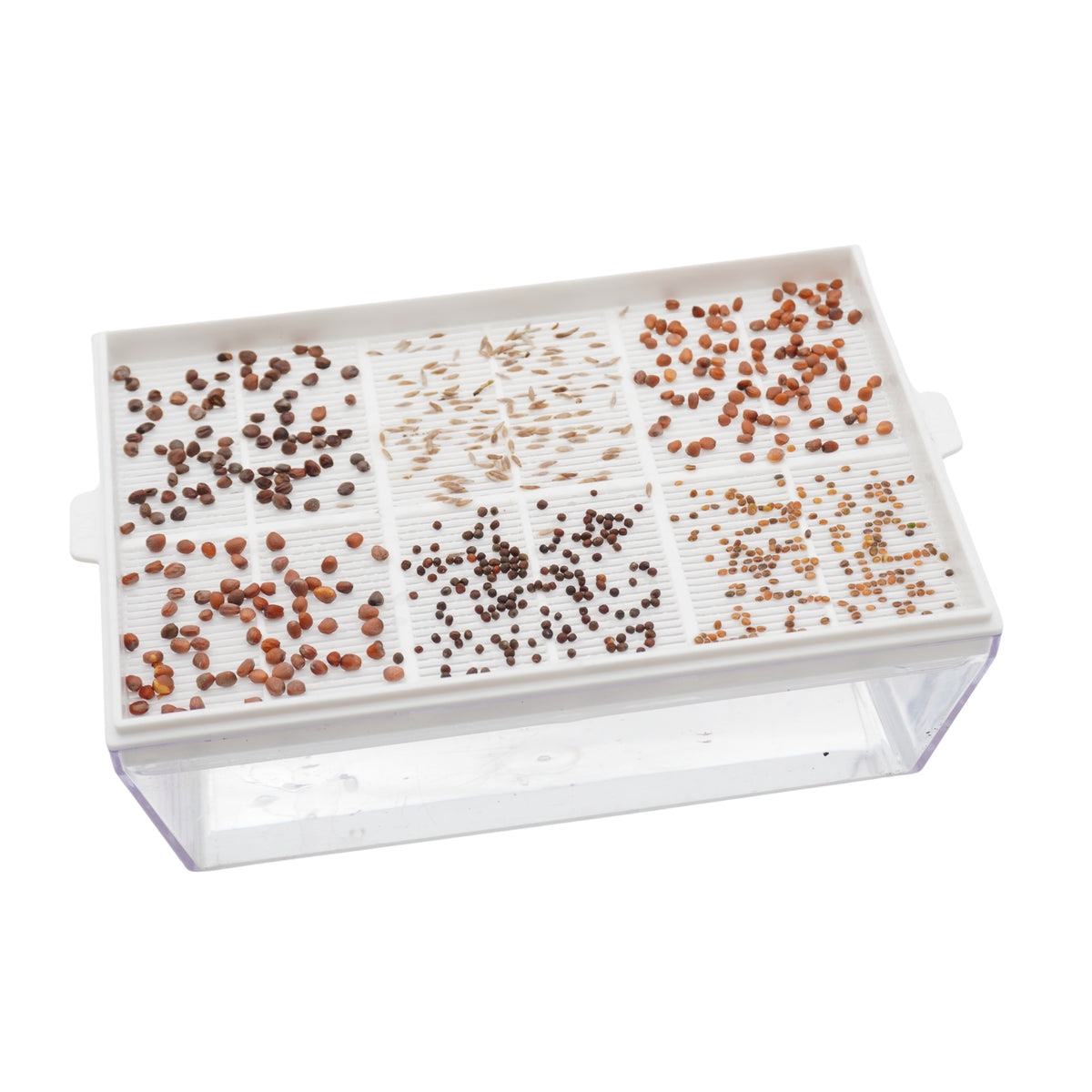 Kit educativo microgreens bio-Idro e Cocco-2 Eva e 12 varietà semi-sk604