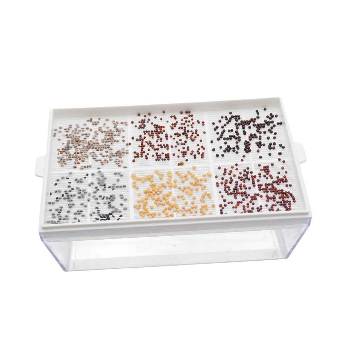 Kit educativo microgreens idroponici - 4 Eva H e 24 varietà semi - sk603
