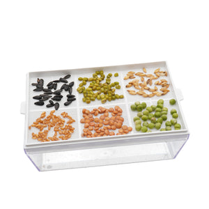 Kit educativo microgreens idroponici - 4 Eva H e 24 varietà semi - sk603