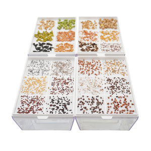 Kit educativo microgreens bio-Idro e Cocco-8 Eva e 45 varietà semi-sk607