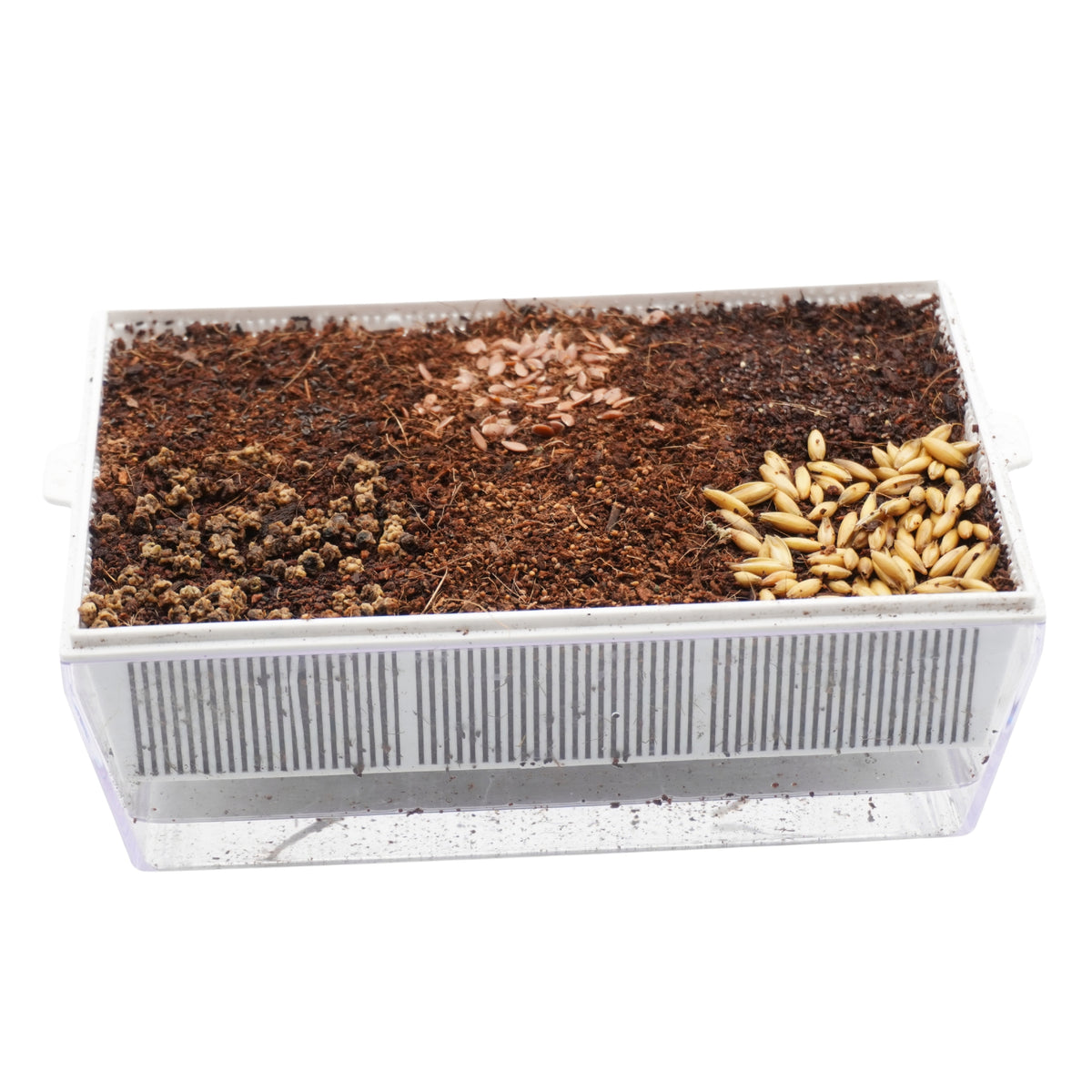 Kit educativo microgreens bio-Idro e Cocco-2 Eva e 12 varietà semi-sk604
