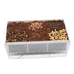 Kit educativo microgreens bio-Idro e Cocco-2 Eva e 12 varietà semi-sk604