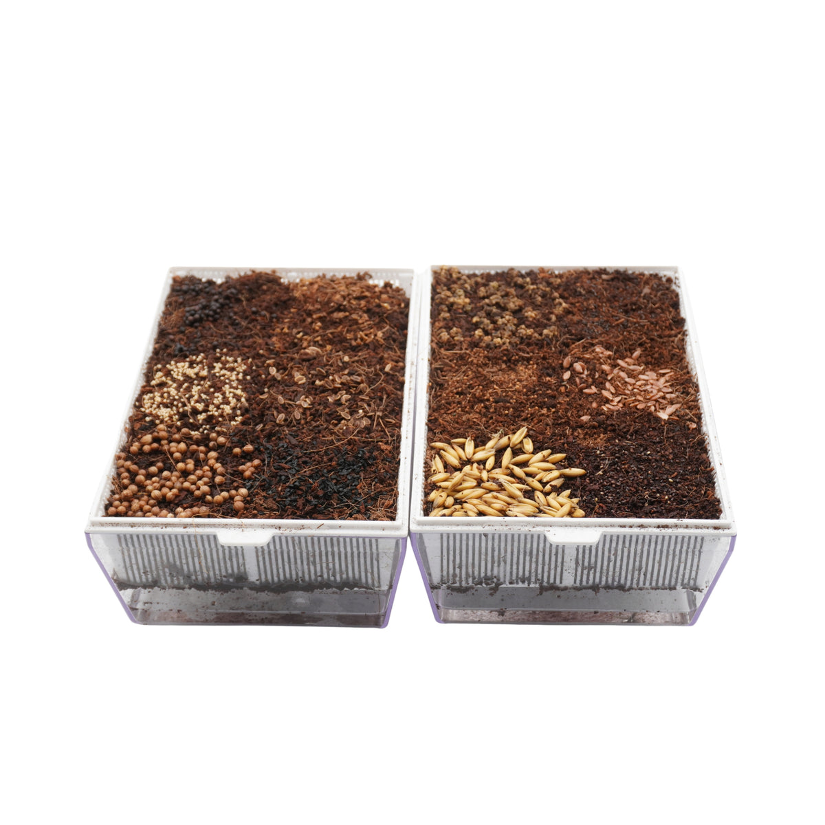 Kit educativo microgreens bio-Idro e Cocco-4 Eva e 24 varietà semi-sk605