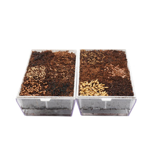 Kit educativo microgreens bio-Idro e Cocco-4 Eva e 24 varietà semi-sk605