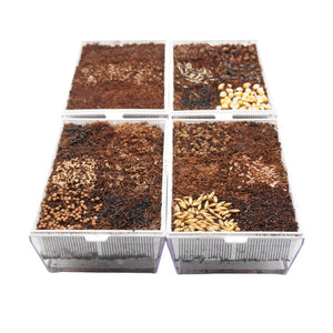 Kit educativo microgreens bio-Idro e Cocco-8 Eva e 45 varietà semi-sk607