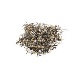Semi di Tagete Patula bio - 1,5g